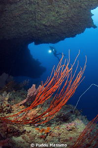 nikon d2x  10,5 mm by Puddu Massimo 